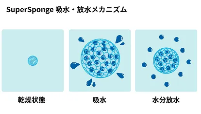 干ばつ地域に潤いを与える自然由来の土壌保水剤「SuperSponge」（株式会社Teraform）