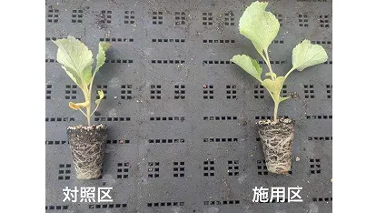 抗酸化成分グルタチオンを豊富に配合したバイオスティミュラント「WAKUFUL」（株式会社WAKU）