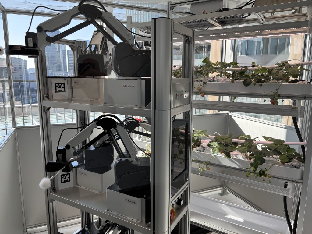 イチゴ自動栽培による次世代都市型農業モデルの構築